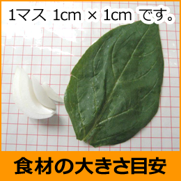 Hނ̑傫ڈ