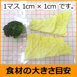 Hނ̑傫ڈ